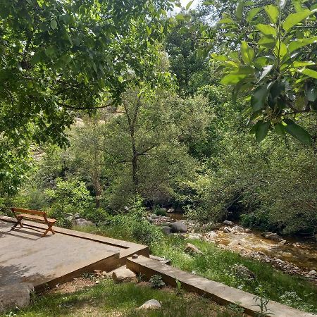 Forest Guest House Mirzakishlak Dış mekan fotoğraf