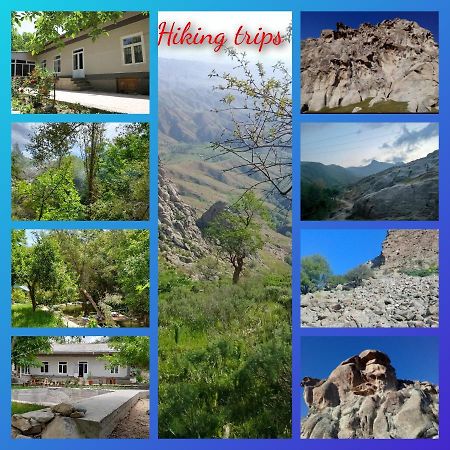 Forest Guest House Mirzakishlak Dış mekan fotoğraf