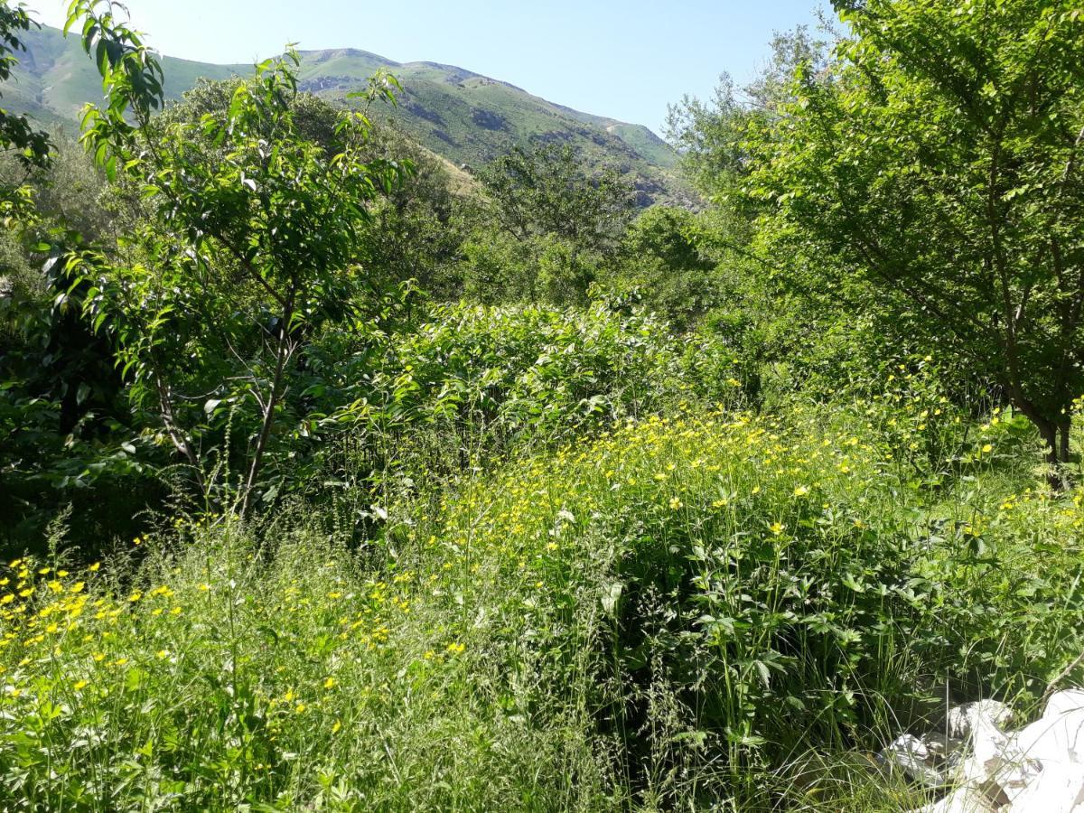 Forest Guest House Mirzakishlak Dış mekan fotoğraf