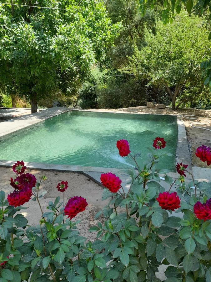 Forest Guest House Mirzakishlak Dış mekan fotoğraf