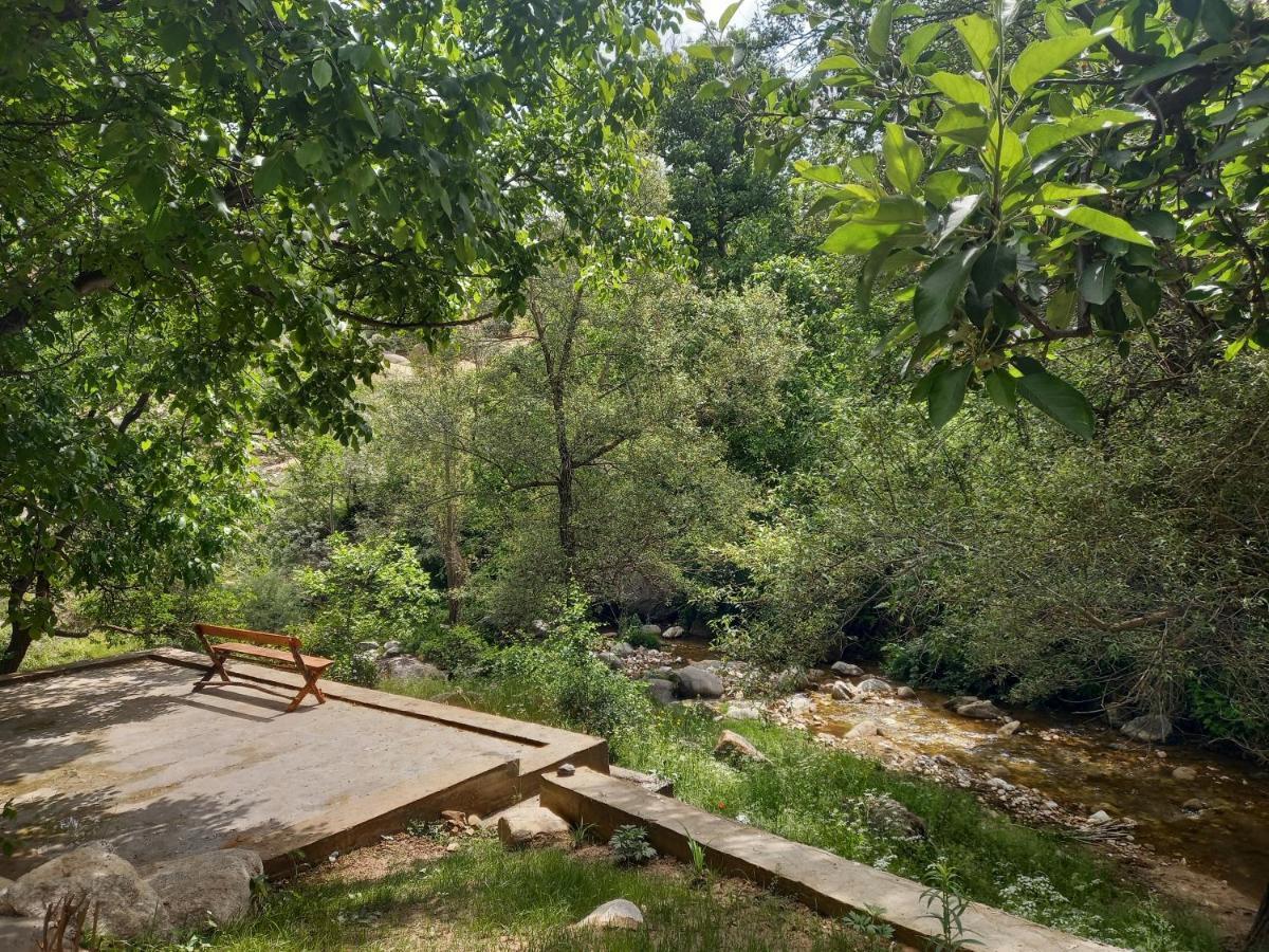 Forest Guest House Mirzakishlak Dış mekan fotoğraf