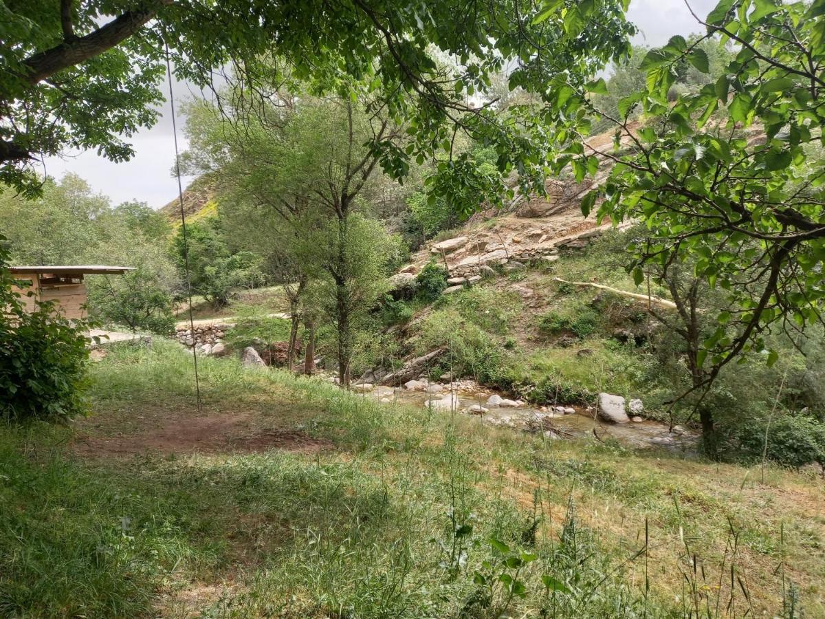 Forest Guest House Mirzakishlak Dış mekan fotoğraf