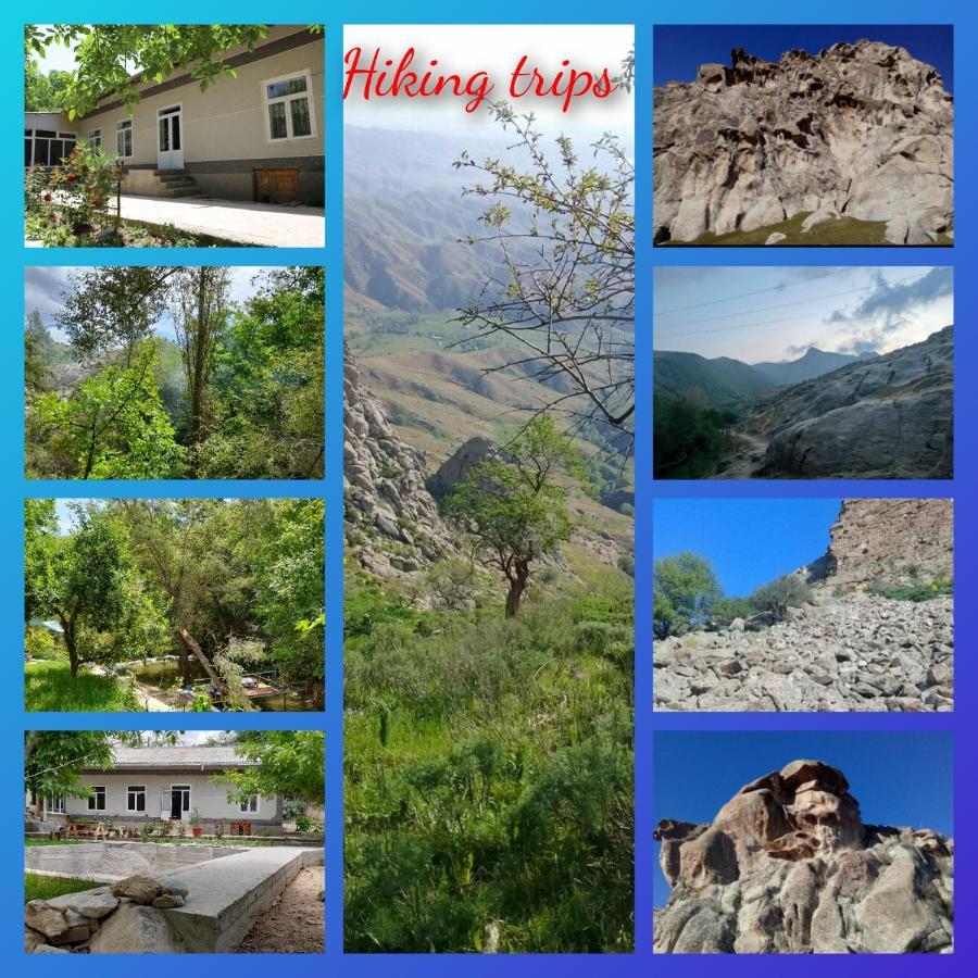Forest Guest House Mirzakishlak Dış mekan fotoğraf