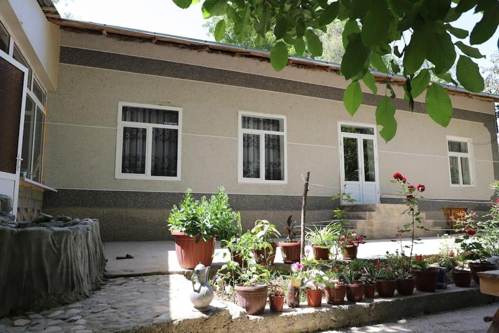 Forest Guest House Mirzakishlak Dış mekan fotoğraf