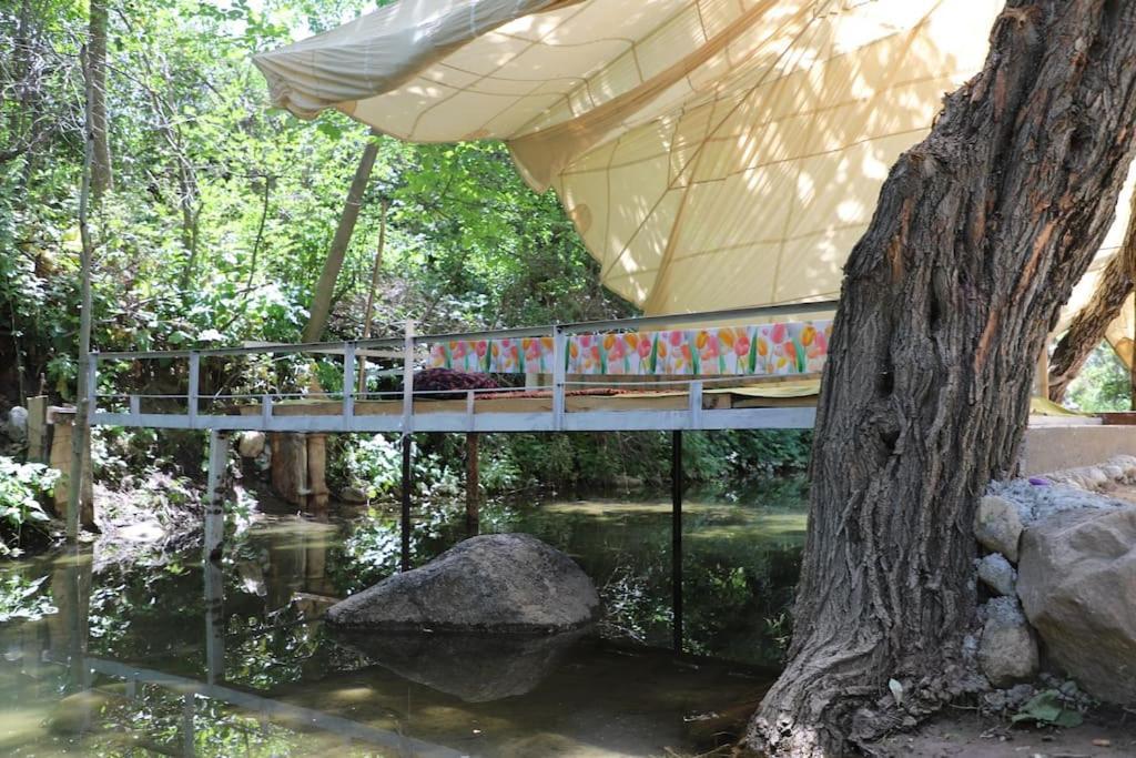 Forest Guest House Mirzakishlak Dış mekan fotoğraf