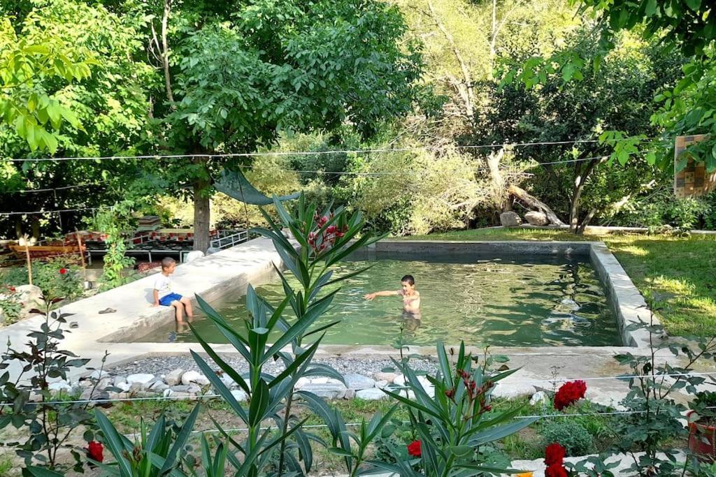 Forest Guest House Mirzakishlak Dış mekan fotoğraf